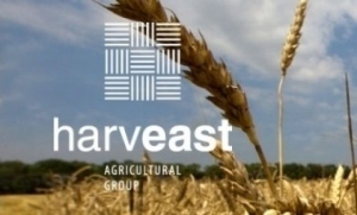 HarvEast уменьшил площади посевных земель до 177,5 тыс. га