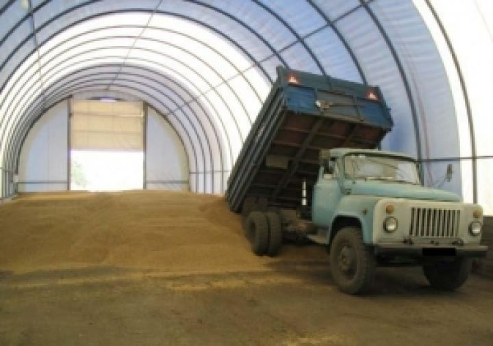 Запасы зерна в Украине почти на 80% превышают прошлогодние