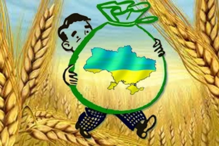 Зерновые склады Крыма проверили на готовность к приему урожая