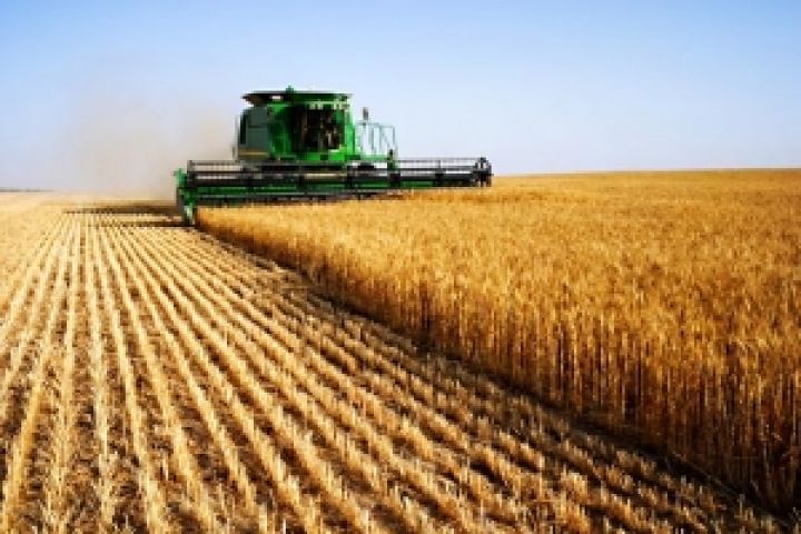 Депутат предложил изменить принципы развития сельского хозяйства Крыма 
