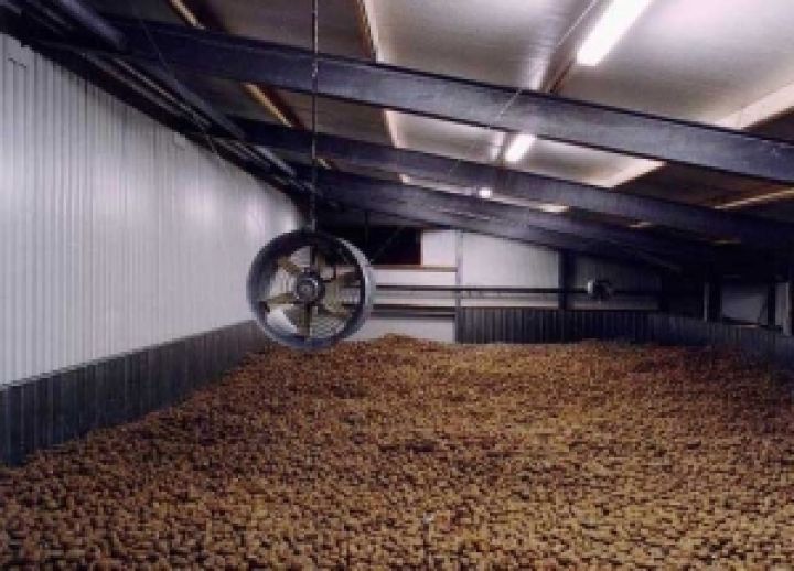 США. Остатки картофеля на складах на 6% выше прошлогодних объемов