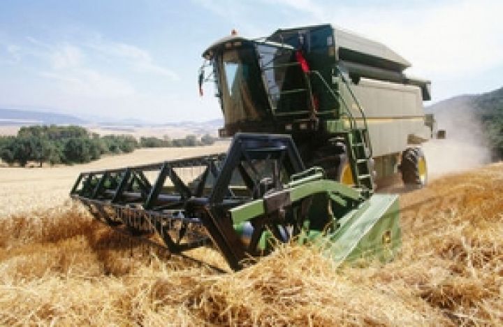 Испания ожидает падение производства зерна