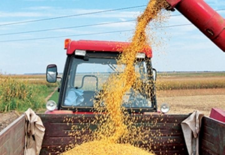 Рейтинг крупнейших латифундистов Украины слабо пересекается с рейтингом экспортеров зерновых