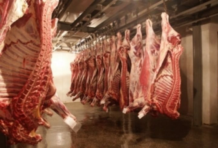 В Одесской области произведено впятеро меньше говядины и телятины, чем годом ранее