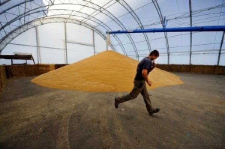 На 1 июня в Украине насчитывалось 63 млн. тонн зерна