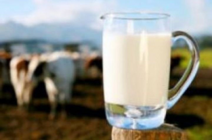 Украинский молочный гигант планирует увеличить производственные мощности на 25%