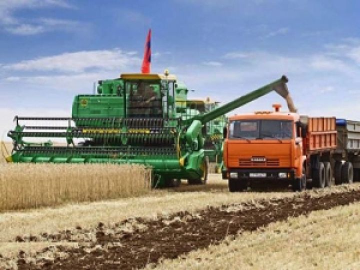 В Одесской области за 10-12 рабочих дней должны убрать весь урожай ранних зерновых 	