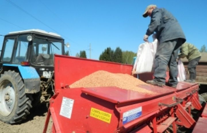 Украина засеяла зерновыми 15,9 млн. га 