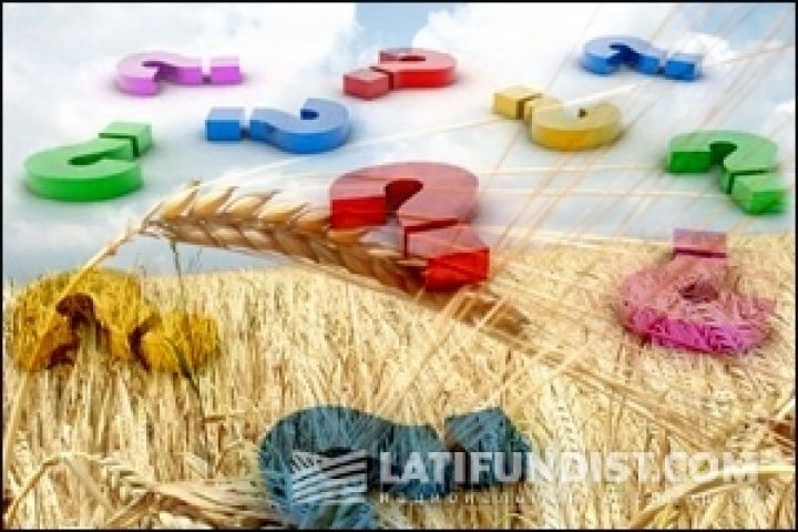 Украина берет курс на повышение урожайности зерновых