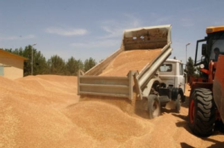 Чиновники готовят новый крестовый поход за «справедливыми» ценами на зерно