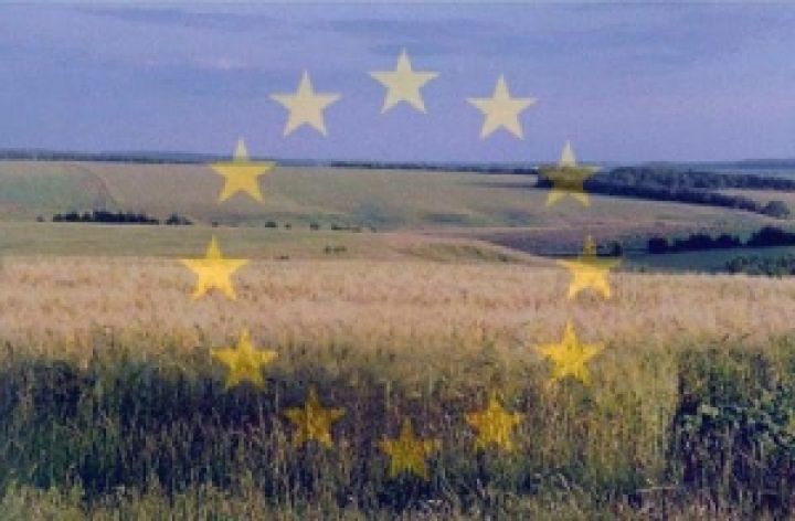 Европа готова помочь в вопросе создания земельного банка в Украине