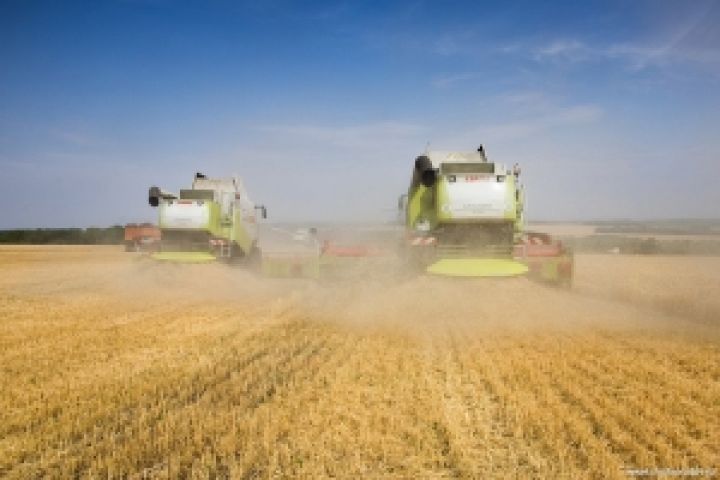Аграрии Запорожской области начали уборку зерновых 