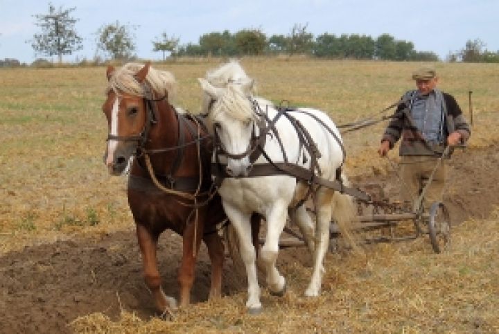Фермеры Донецкой области «укрупняются» 