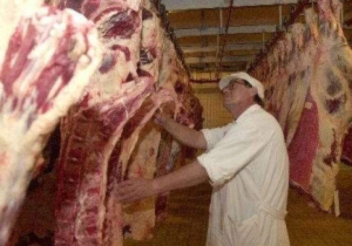 Компания из Киевской области намерена привлечь 50 млн. грн для строительства мясокомбината