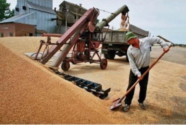 В Украине обработка сертификатов качества и документы на зерно приводит к задержкам при отгрузках зерна