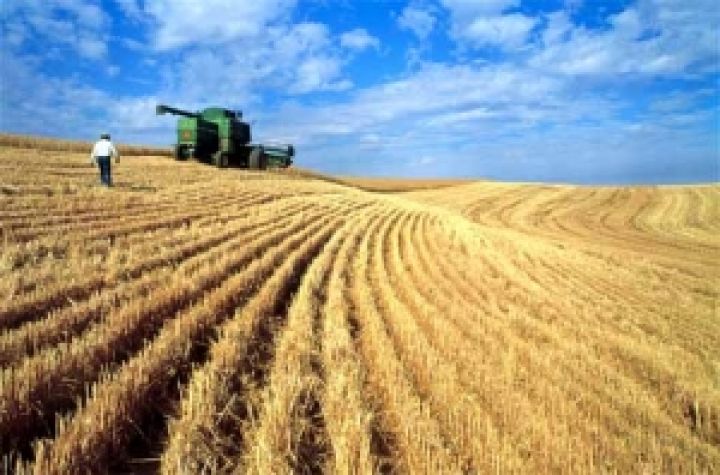 Южная Корея увеличивает импорт кукурузы из Бразилии на фоне привлекательных цен 