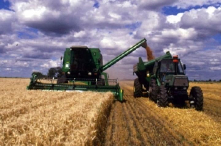 Украинские аграрии собрали 585 тыс. тонн зерна 