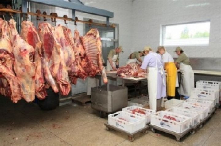 Импорт свинины в Украину вырос в 3,3 раза