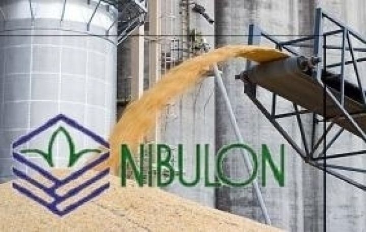 НИБУЛОН экспортировал 26,2 тыс. тонн пшеницы в Ливан