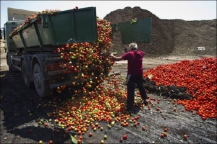 Непогода уничтожила на Луганщине более 14% урожая фруктов и овощей 