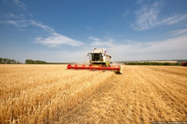 В Харьковской области создан штаб по проведению уборки ранних зерновых 