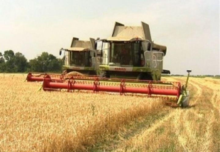 Черкасская область готова к приему зерновых нового урожая