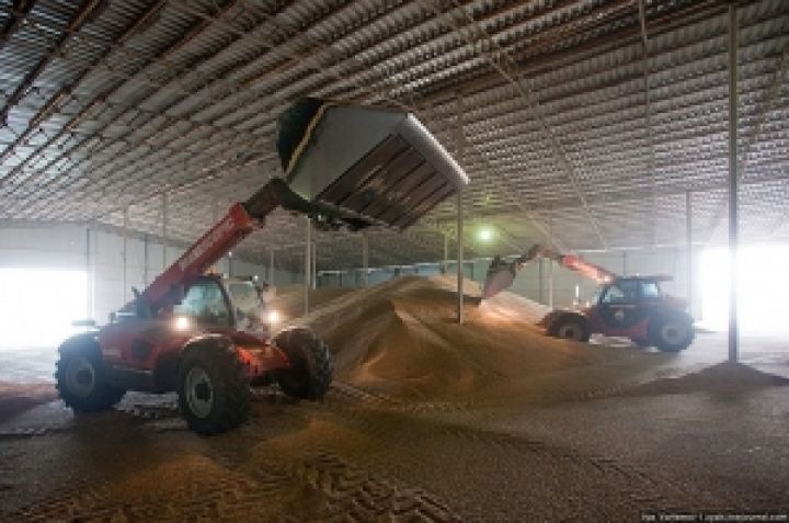 Noble Group будет хранить зерно на Донбассе 
