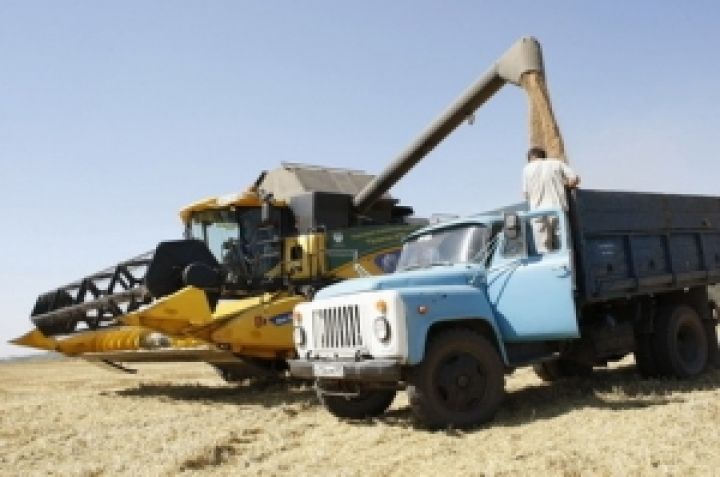 Украина теряет половину урожая ячменя и пшеницы