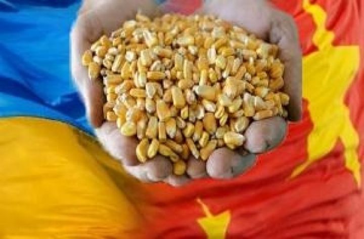 Украина готова начать поставки кукурузы в Китай