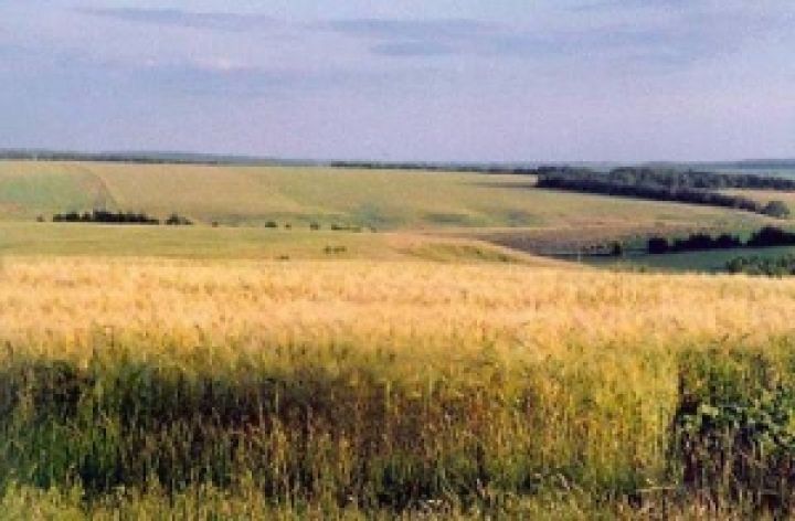 В Украине уже прихвачены 12 млн. га лучших земель