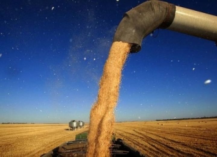Израиль активно скупает Украинское фуражное зерно 