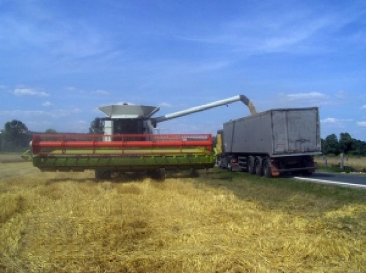 В Крыму уже убрали более 300 тысяч га посевов 
