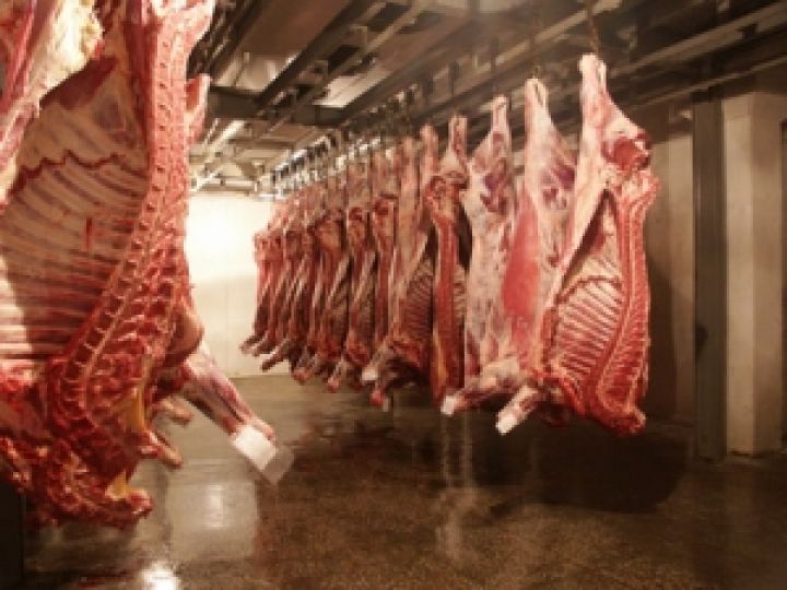 В Украине себестоимость производства говядины может снизиться на 30%