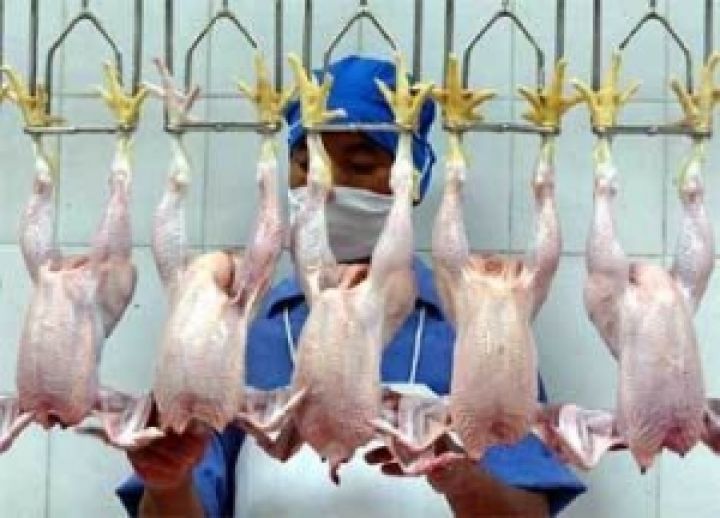Доля Украины и России в мировом импорте мяса птицы к 2020 г. снизится вдвое