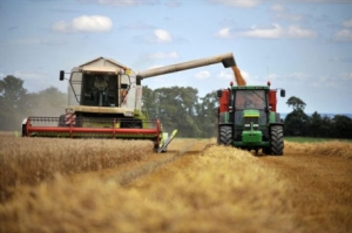 Перед аграриями Харьковской области стоит задача собрать не меньше трех миллионов тонн зерна