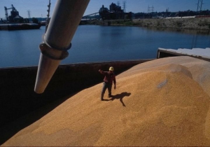 Украина экспортировала более 23 млн. тонн зерна