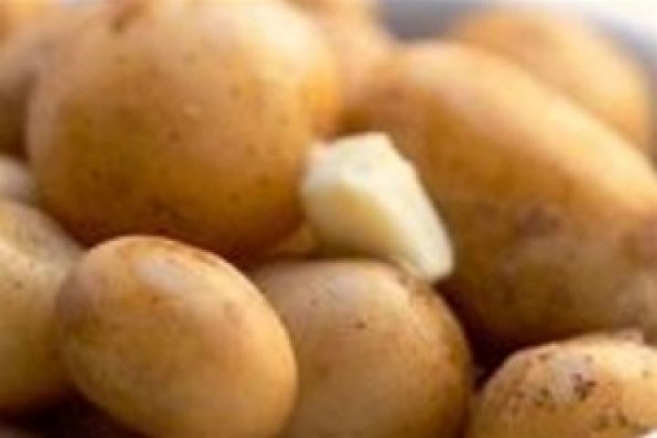 Рынок картофеля обваливается из-за дешевизны продукта