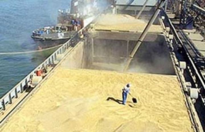 Стоимость российской пшеницы в черноморских портах достигла исторического рекорда