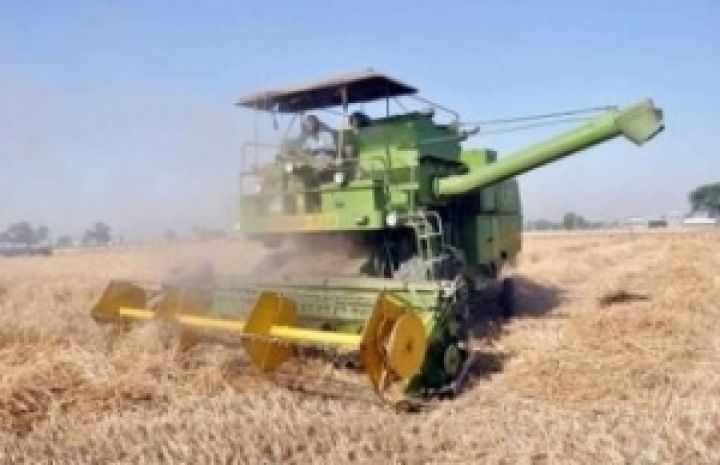 В Украине уже намолочено около 3 млн. тонн ранних зерновых и зернобобовых 