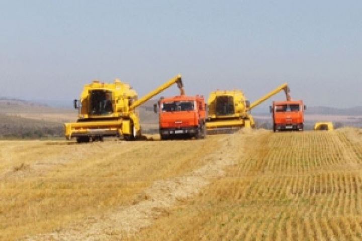 Украинские аграрии собрали 3,7 млн. тонн зерна