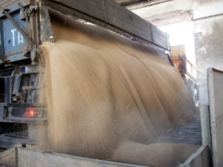 Правительство Индии разрешило экспортировать 2 млн. т пшеницы