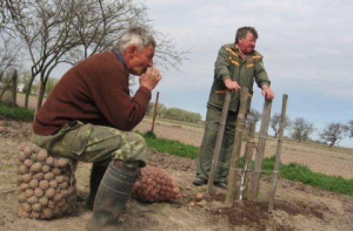 Украинские фермеры: страна на пороге страшного неурожая