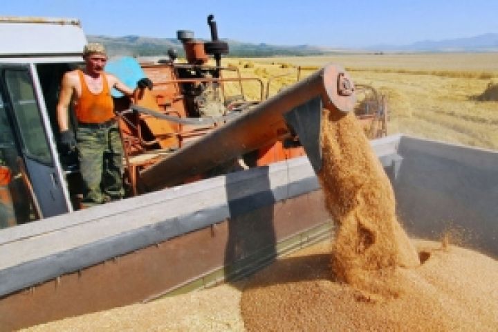 Кто и зачем завышает данные об урожае зерновых? 