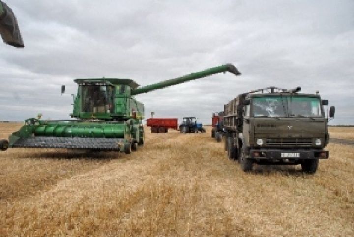 Аграрии Луганской области надеются на хороший урожай