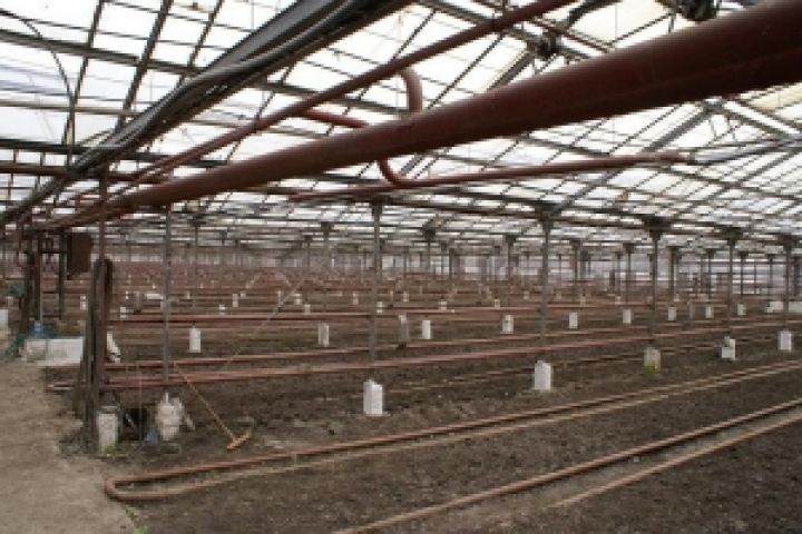 В Армении стартовала инвестиционная программа по созданию крупных тепличных хозяйств