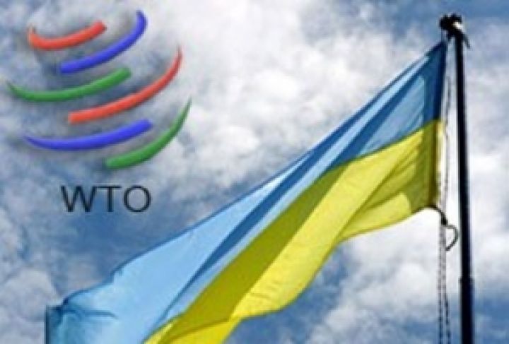 Украина в ВТО: правила меняются?