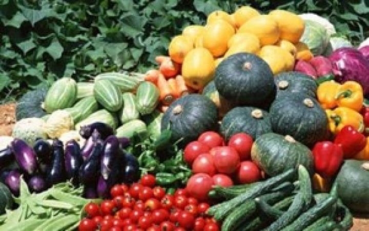 Урожай овощей будет меньше прошлогоднего, но цены не будут расти