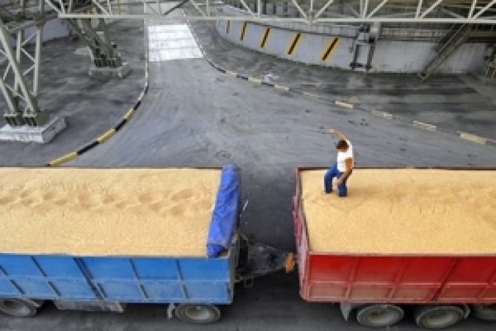 Украина снизит экспорт зерна на 9%