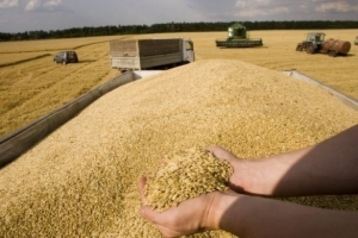 Внутреннее потребление зерна в 2012 г. составит 26,5 млн. тонн 