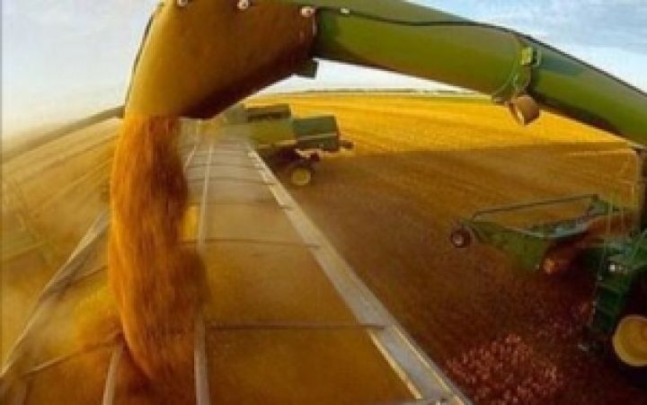 Прогноз Минагропрода относительно урожая пшеницы завышен на 7%